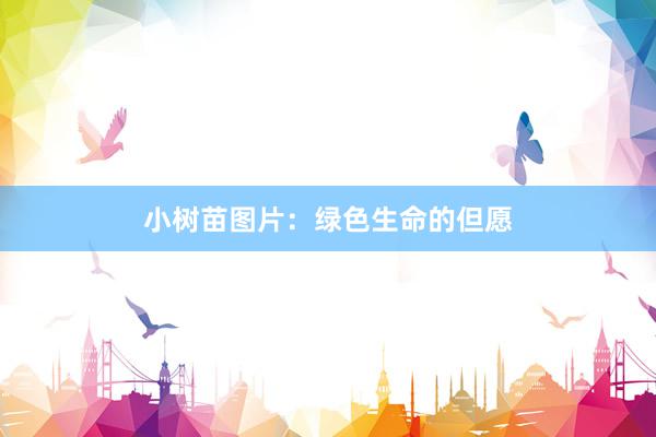 小树苗图片：绿色生命的但愿
